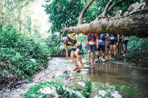 BIB: 
                            <button type="button" onclick="openModal(25467497)" class="btn btn-primary btn-sm float-right btn-popup" data-toggle="modal" data-target=".modal-high-quality">
                        <i class="fas fa-shopping-cart"></i> Add to Cart
                    </button>
                                            <button type="button" onclick="isThisMe(25467497, true)" class="btn btn-success btn-sm float-right btn-popup btn-isme hidden" data-toggle="tooltip" data-placement="bottom" title="นี่คือรูปของคุณใช่ไหม คลิกที่นี่เพื่อเอาเข้าอัลบั้ม">
                        <i class="fas fa-plus"></i> Add to album
                    </button>
                    <button type="button" onclick="isThisMe(25467497, false)" class="btn btn-warning btn-sm float-right btn-popup btn-isnotme hidden">
                        <i class="fas fa-ban"></i> Remove from album
                    </button>